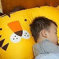 【言言媽】- Milo&Gabby動物好朋友造型枕，讓孩子快樂又舒適睡眠。